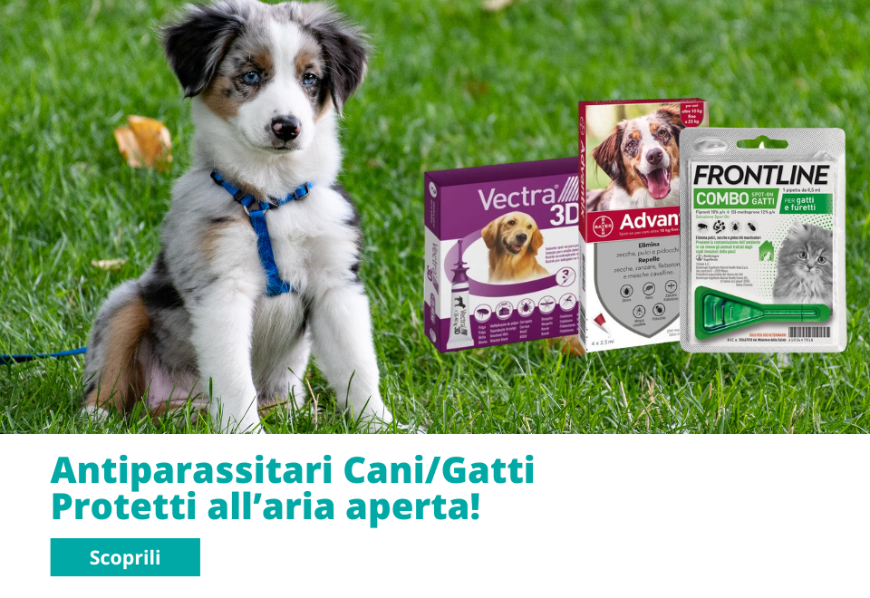 Antiparassitari cani